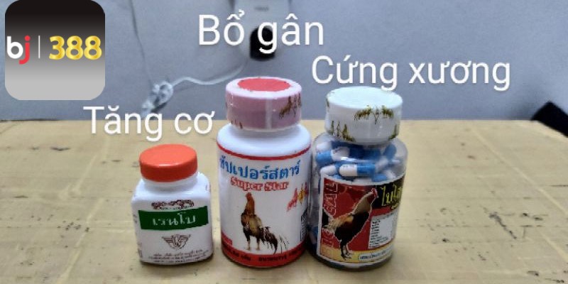 Loại thuốc bổ cho gà đá