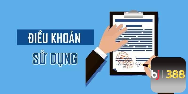 Tổng hợp nội dung có trong điều khoản mà các bạn cần biết