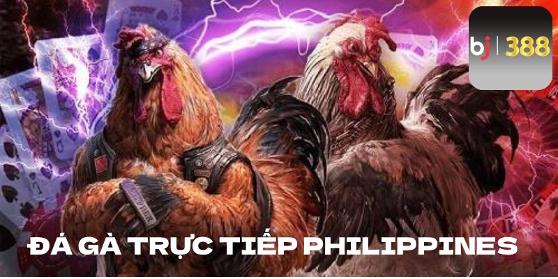 Đá gà trực tiếp philippines