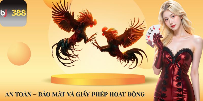 An toàn – Bảo mật và giấy phép hoạt động
