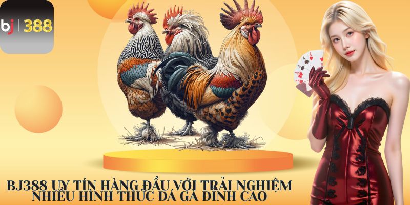 Giới thiệu chung về nhà cái BJ388