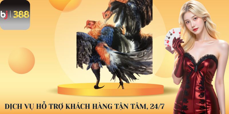 Dịch vụ hỗ trợ khách hàng tận tâm, 24/7