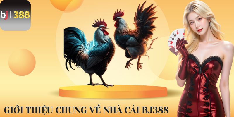 Giới thiệu chung về nhà cái BJ388