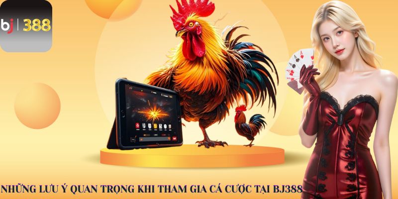 Những lưu ý quan trọng khi tham gia cá cược tại BJ388