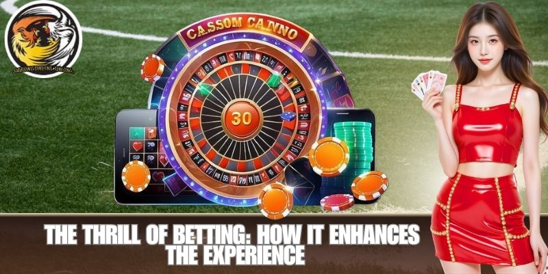 The Thrill of Betting: How It Enhances the Experience